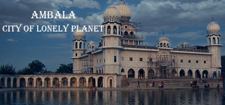 Packers And Movers Ambala