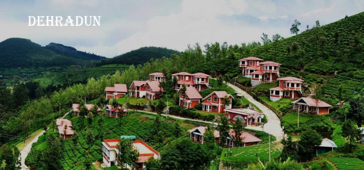 Packers and movers Dehradun 